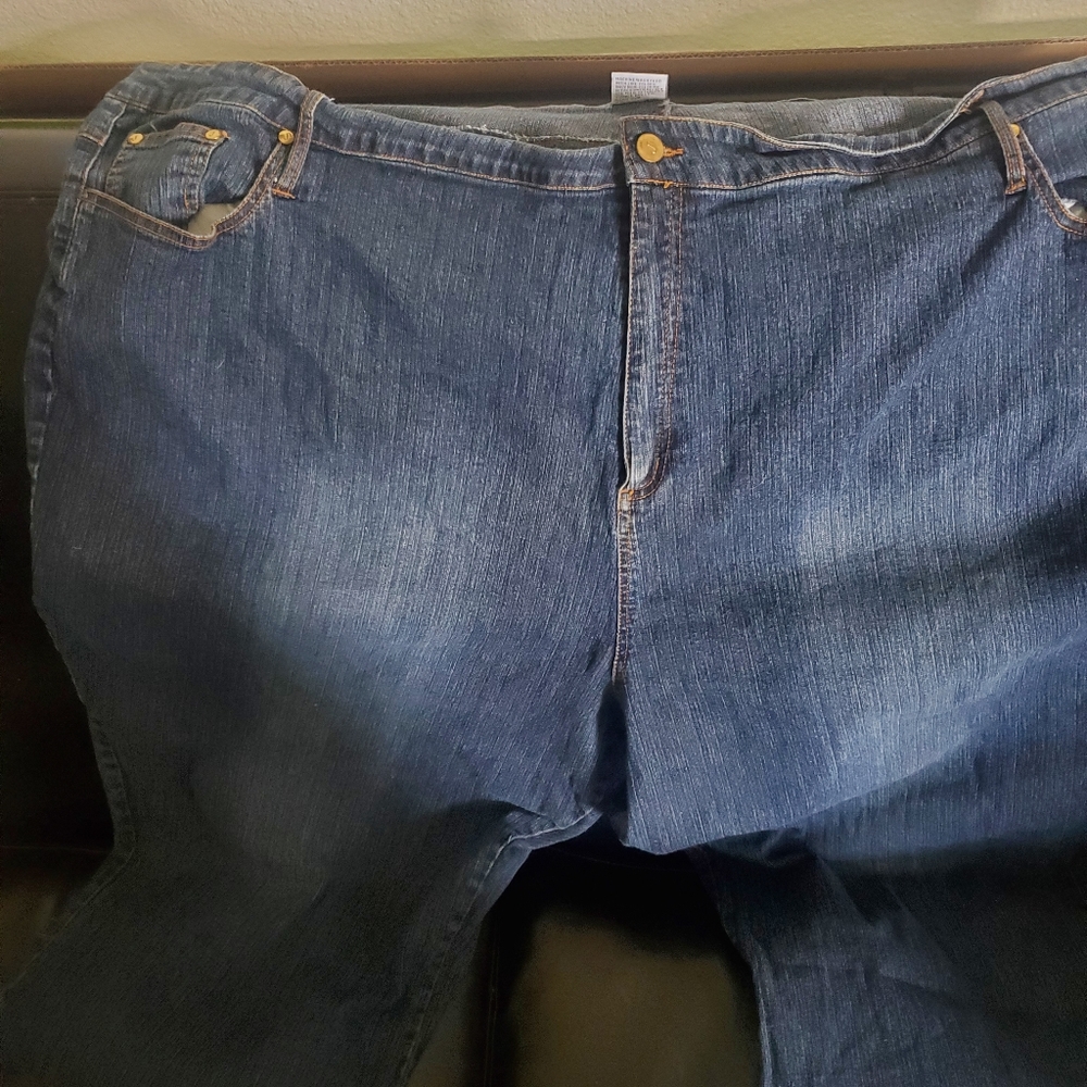 Jamie Nicole Denim Capris (Plus Size 36)